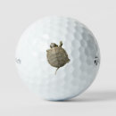 Search for turtle golf balls Animals