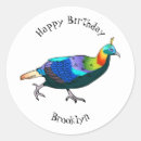 Search for with birds stickers For kids