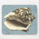 Search for conch mousepads Coastal