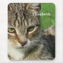 Search for isolate mousepads Domestic