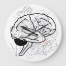 Search for anatomy clocks Brain