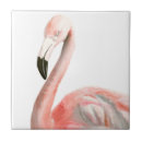 Recherche de rose flamant carreaux Aquarelle