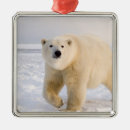 Search for refuges ornaments Arctic national wildlife refuge