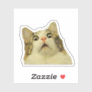 Recherche de chaton adorable autocollants Animaux