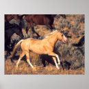 Recherche de ponderosa posters Ranch