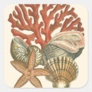 Search for conch shell stickers Reef