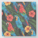 Search for macaws coasters Cockatoo