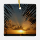 Search for seascape ornaments Tropical