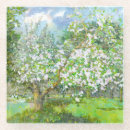 Recherche de pissenlit dessous de verres Jardin