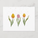 Search for tulpen postcards Tulips