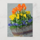 Recherche de tonneau cartes postales Fleurs