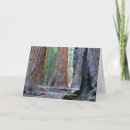 Recherche de arbre séquoia vœux cartes Vert