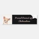 Search for chihuahua bumper stickers Puppy