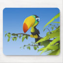 Search for toucan mousepads Animals