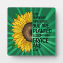 Search for sunflower plaques Pretty