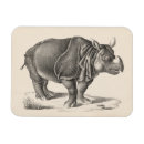 Recherche de rhinocéros magnets Faune