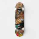Recherche de lion skateboards Patineur