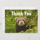 Search for pet ferret cards Funny