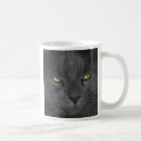 Search for russian blue mugs Kitty