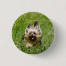 Recherche de yorkshire badges Mignon