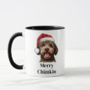 Recherche de lagotto romagnolo Chien