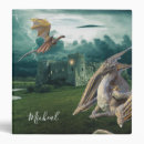 Search for dragon binders Fantasy