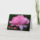 Search for macro photography cards Close up