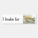 Search for turtle bumper stickers Sea
