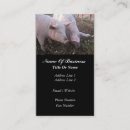 Search for hogs business cards Farmer