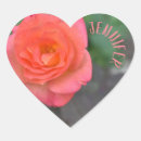Search for rose box photography Flower