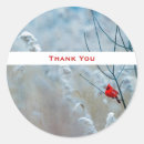 Search for red cardinal stickers Wildlife