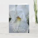 Search for white iris cards Floral