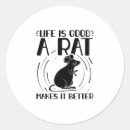 Search for pet rat stickers Rodent