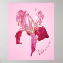 Search for pink iris posters Floral