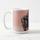 Search for spiders mugs Jumping spider
