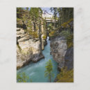 Search for rocky mountain national park postcards River