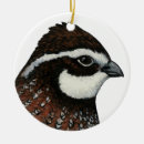 Search for quail ornaments Animal
