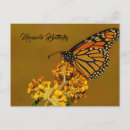 Recherche de butterfly cartes postales Papillon