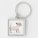 Search for stand as one keychains Nature