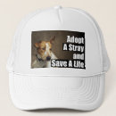 Search for shelters hats Adopt