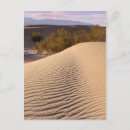 Recherche de dunes cartes postales Désert