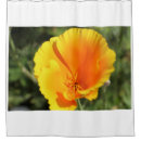 Search for poppy shower curtains Garden