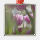 Search for tourism ornaments Ie