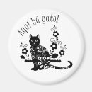 Search for gato magnets Kitten