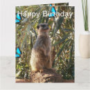 Search for blue butterfly birthday cards Animal