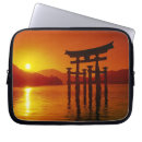Search for shinto electronics Japan