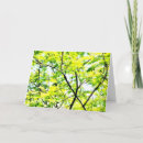 Search for canopy cards Green