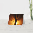 Search for light ray cards Rays
