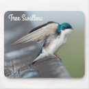 Search for swallow mousepads Bird