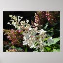Recherche de tail posters Floral